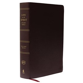KJV Life in the Spirit Study Bible