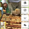 Beekeeping Tool Bee Attractant Beekeeping Gel Tool Outdoor Wild Bee