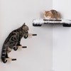 COOLEX 3-in-1 Cat Wall Steps - Climbing Wall Furniture &