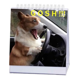 8.3'' x 6.7'' Funny Dog Desk Signs for Office, Ideal Gifts for Dog Lovers,Funny Office Accessories, Desk Gifts & Decor,Perfect for Secretary, Coworker & Home