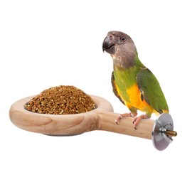 Bird Perch with Feeding Cup, Wood Stand and Cage Accessories for Parakeet, Lovebird, Cockatiel, Small Birds