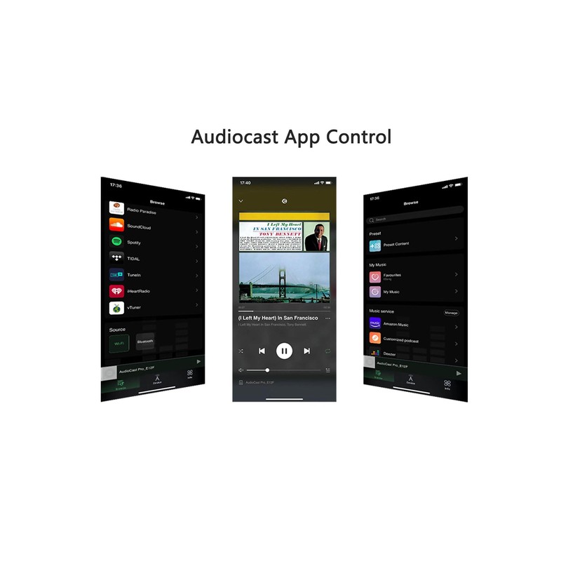 ACEMAX Audiocast Pro M20 Wireless WiFi Audio Receiver Multiroom Adaptor