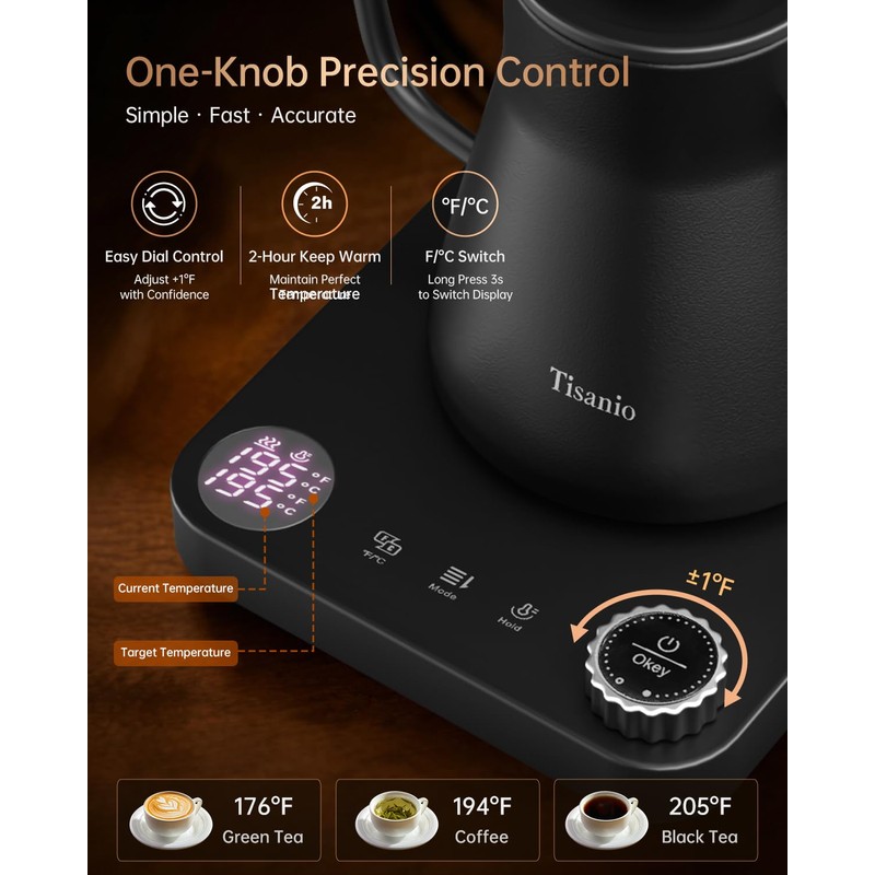 Gooseneck Electric Kettle with Temperature Control, 0.9L, Black