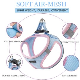 PUKAKO Dog Harness for Small Dogs No Pull, Puppy Harness and Leash Set, Easy Walk Dog Harness for Walking, Blue& Pink, S