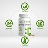 DEAL SUPPLEMENT Ginkgo Biloba 500mg Per Serving, 240 Capsules, 4