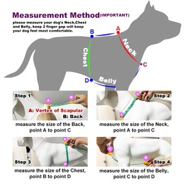 TSPRO Tactical Dog Harness with Handle and Quick Release Release, Heavy Duty Dog Harness for Large Dogs for Hiking and Running (Camo Blue, S)