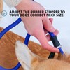BullyBillows Anti-Pull Anti-Choking Training Dog Lead | 1.4m Active Light