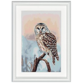 Dutch Stitch Brothers - Counted Cross Stitch Kit - DSB014L - Owl - Lead White - 40 x 26 cm - Embroidery Kit for Adults