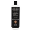 Joe Cool Cigar Propylene Glycol Humidor Solution for Cigar Humidifiers