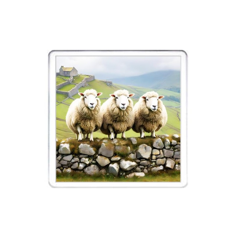 Sheep Coaster Set. 4 different Sheep Pictures on 10cm x