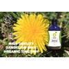 Organic Herbal Remedies, Dandelion Tincture, 100ml