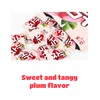 [Pack of 2] K-Candy Korean Favorite Sweet Flavor Plum Candy