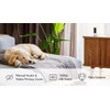 Ring Ring Indoor Camera (2nd Gen) | Plug-In Pet Security