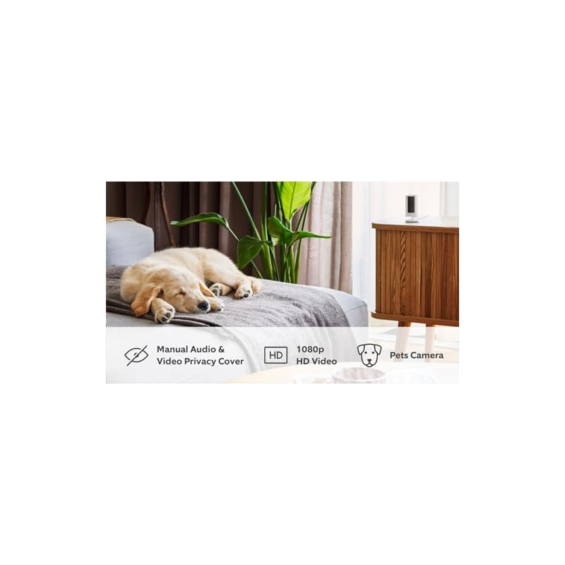 Ring Ring Indoor Camera (2nd Gen) | Plug-In Pet Security