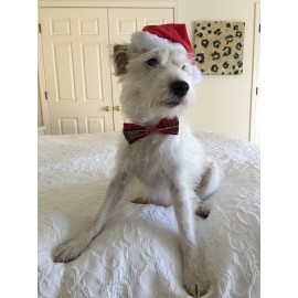 JOAN RIVERS WOMENS NEW NOW & FOREVER ORIGINAL FORMULA JOAN RIVERS PERFUME 15 ML EDP floral