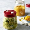 lakeland Fermentation Jar with Air-Release Valve 1L – Automatic Valve