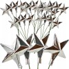Lee Display Silver Star Picks Holiday Star Ornaments Christmas Tree