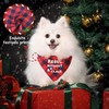 BlissBud Funny Christmas Bandanas for Dogs - Holiday Red Plaid