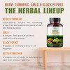 Neem Turmeric Capsules with Amla and Black Pepper 120 Veg