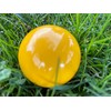 EPCO Bocce Yellow Pallina or Pallino - Single