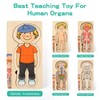 KABENFIS 29 Piece Boys Human Body Puzzle for Kids and