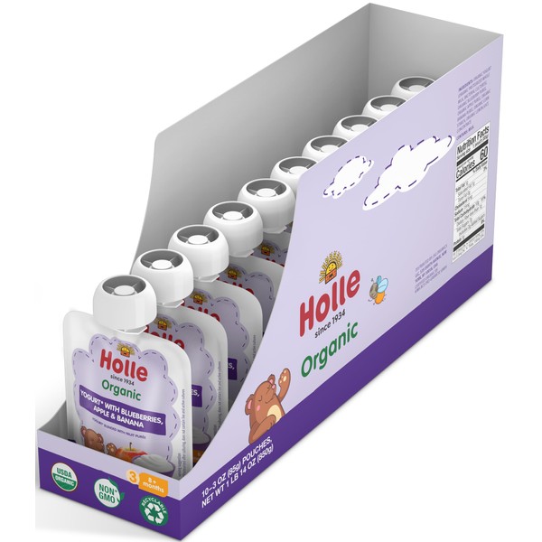 Yogurt (Blueberries, Apple & Banana, 10 Pouches)