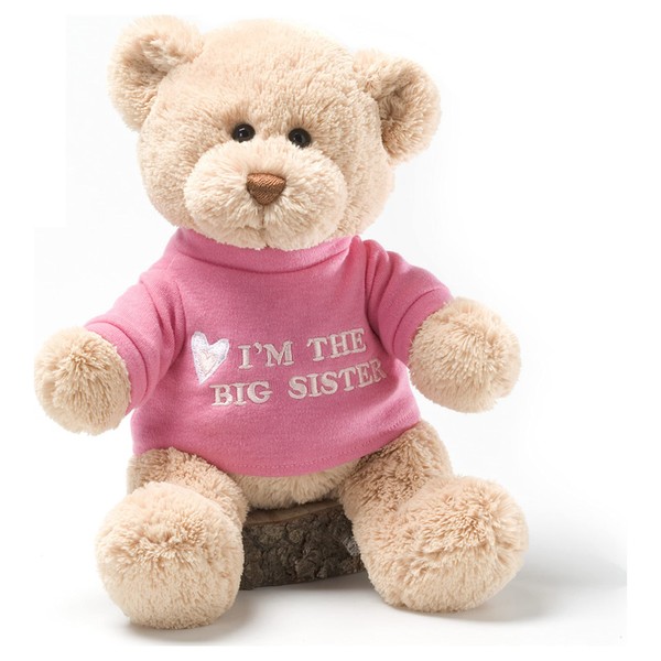 GUND “I’m The Big Sister” Message Bear with Pink T-Shirt, Teddy Bear Stuffed Animal for Ages 1 and Up, Brown, 12”