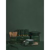 KitchenCraft Coffee Storage Canister with Lid, Hunter Green & Gold,
