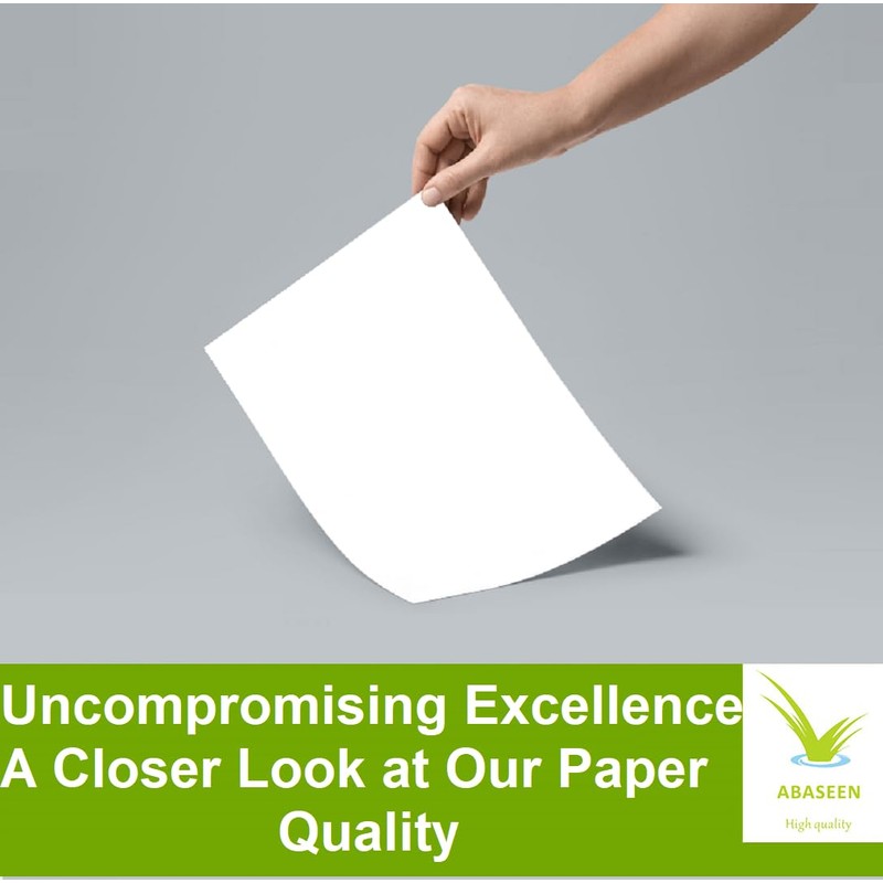 Abaseen 5 Reams 2500 Sheets Printer Paper A4 White |