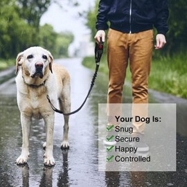 Dog Seat Belt for Car, Dog Seat Belt Car Adjustable, Restraint Seat Belt Dog Car, Adjustable Seat Belt Dog Car Headrest, Safety Harness Dog, Dog Seat Belt