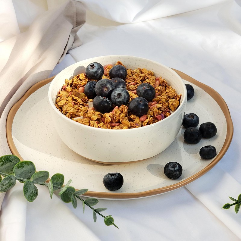 Lareina Plates and Bowls Set, 12 Pieces Farmhouse Ceramic Dinnerware