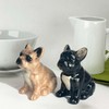 Lesser & Pavey Salt & Pepper Set for All Types