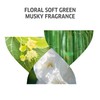 Volume Boost Mask 500 ml