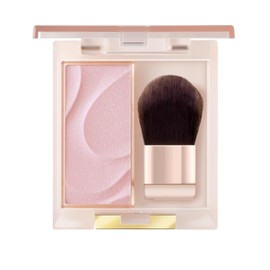 excel Seamless Tone Blush SB06 Orchestra Limited