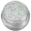 Glitter Donuts Circles Glitter Nail Art Transparent Iridescent