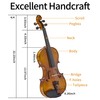FDT&ENJOY Violin for Beginners Adults,4/4 Violin Full Size Acoustic Violins,