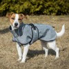 Back on Track Bark Allround Dog Coat 40 cm Grey
