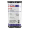 American Plumber W5CIP Taste/Odor Filter Cartridge (2-pack)
