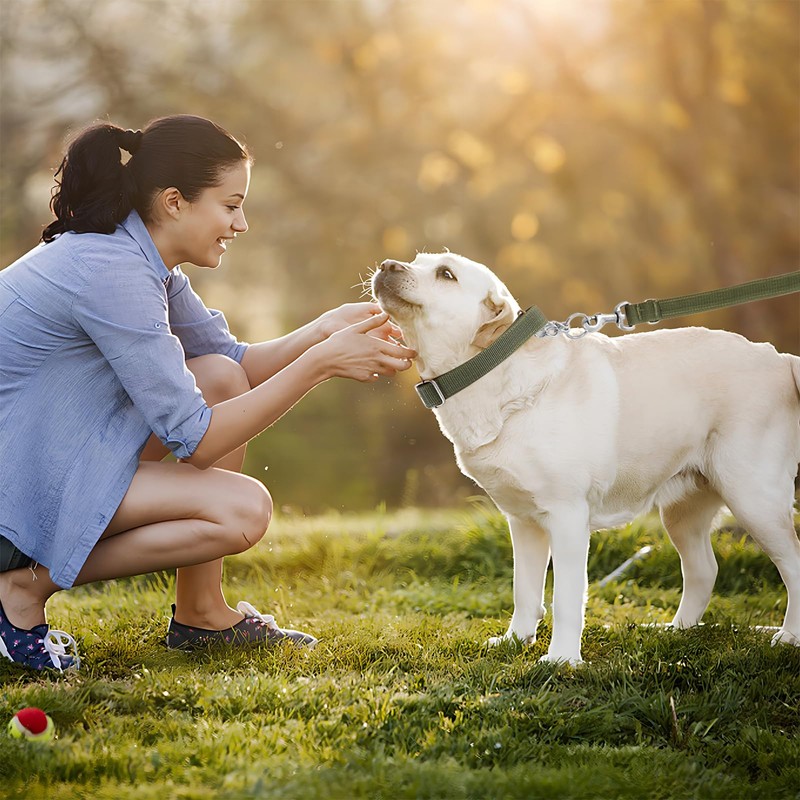 Dog Leash, Training Lead 1.2M, Anti Pull Dog Leads with
