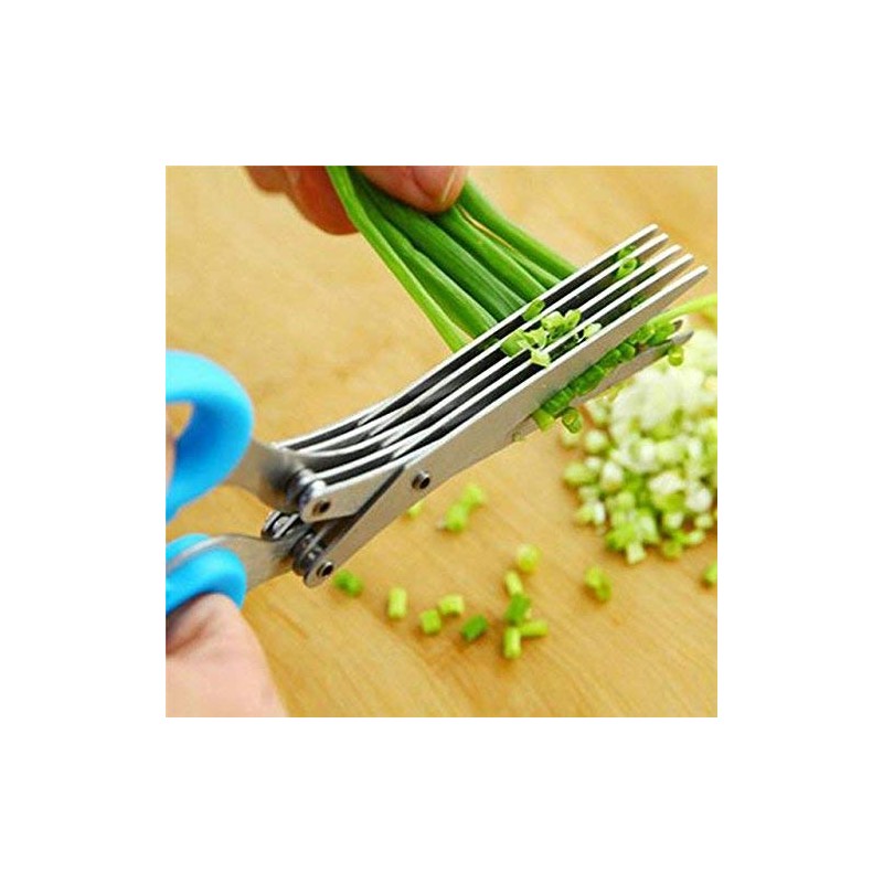 5 Blade Security and Kitchen Shredding Scissors Handy Security Shredding