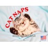 Cat Naps Calendar 2026 Monthly Wall Calender 12 Month |