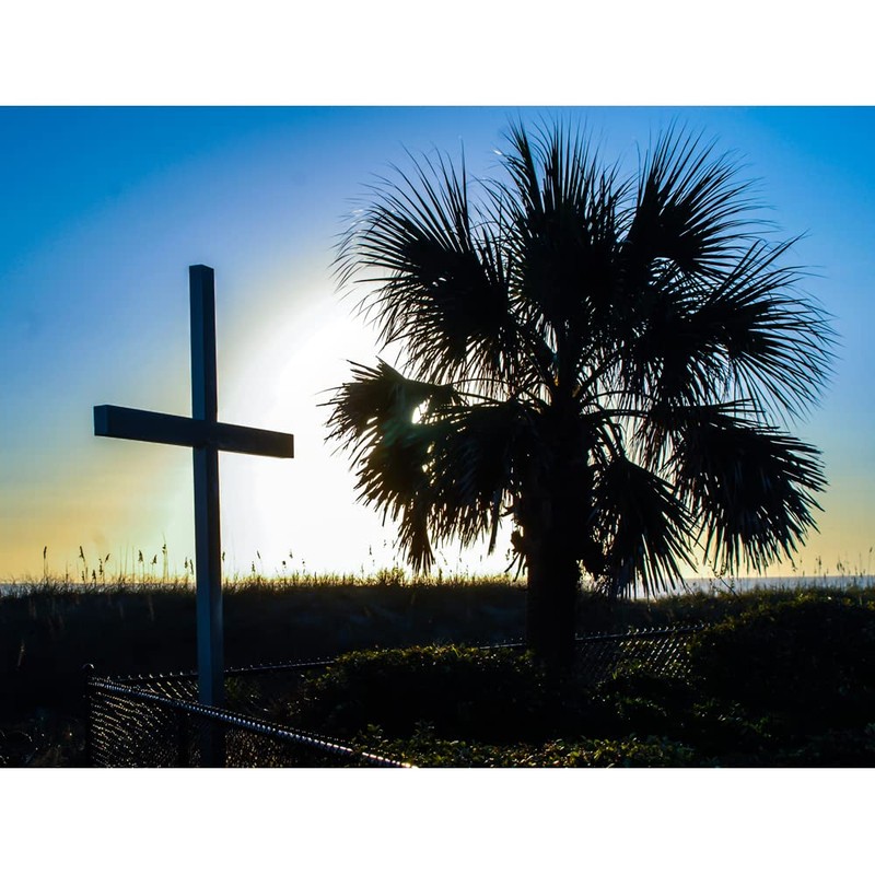 F A Dumont Hand Made Palm Sunday Palm Crosses -