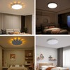 Anmaice 12in 24Watt Flush Mount led Ceiling Light fixtures.Remote Control