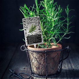 KADAX Signs for herbs, silver metal herb plugs, plant signs, plant plugs, peg labels, metal signs, plant labels, herb labels (rosemary)