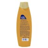 PERT, Shampoo Nutrición Argan | Nutre y reparar tu cabello,