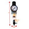 1/4" NPT Mini Compressed Air In Line Filter Regulator Combo