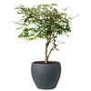 Scheurich Planter, Black Granit, Ø 30 cm, Höhe 24 cm