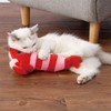 Petio Electric Dancing Cat Toy, Shrimp