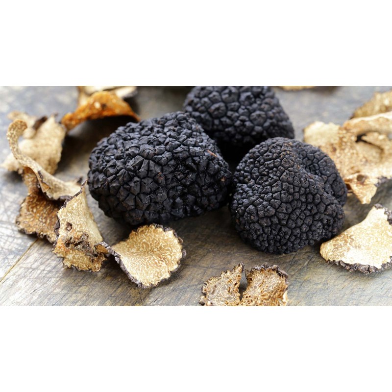NIKA SEEDS - Spores Truffle Black Mushrooms for Planting on