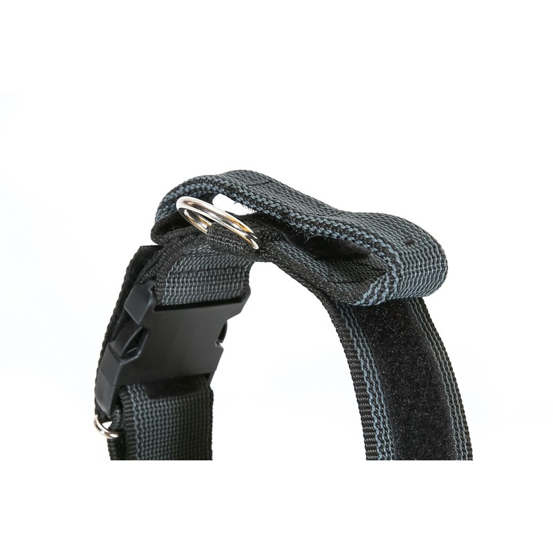 Julius-K9 Colour and Gray Collar with Handle, Safety Lock and